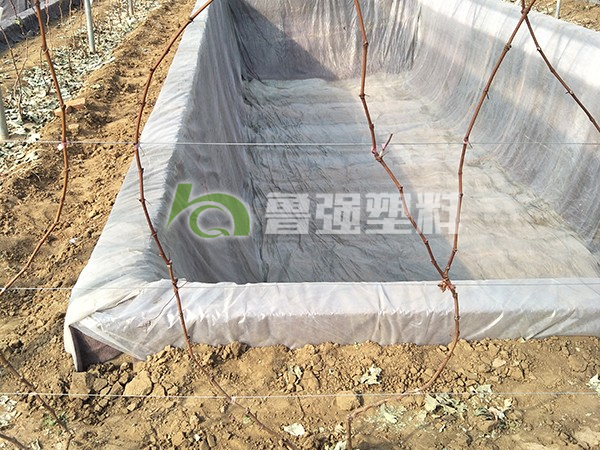 微信图片_20190304110225